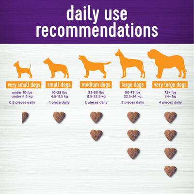 Shine Skin & Coat Bacon Flavor Chew Supplements for Dogs, 45 count