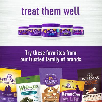 Shine Skin & Coat Bacon Flavor Chew Supplements for Dogs, 45 count