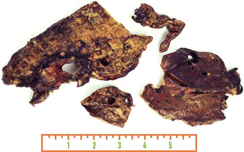 Lamb Lungs Dog Chews, 4-oz bag