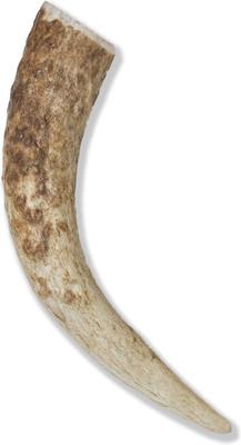 Whole Elk Antler Dog Chews, 6 - 7.5 inch