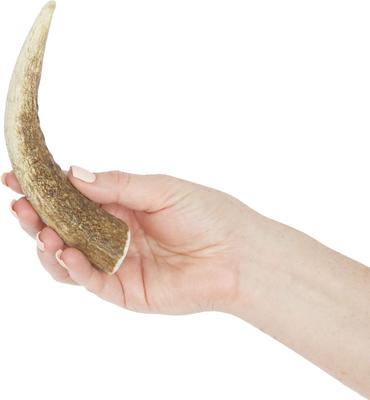 Whole Elk Antler Dog Chews, 6 - 7.5 inch