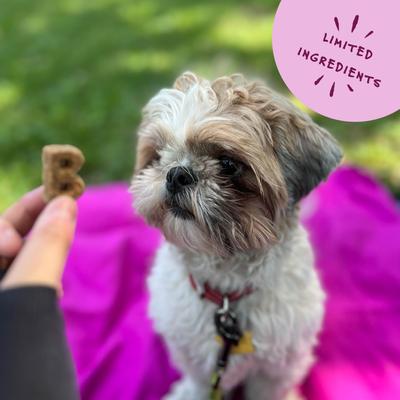 Quack Quack Quack Duck & Blueberry Recipe Soft & Chewy Dog Treats, 6-oz bag