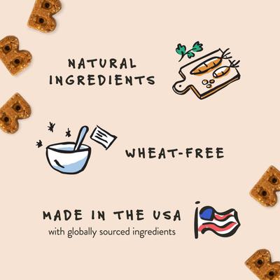 Quack Quack Quack Duck & Blueberry Recipe Soft & Chewy Dog Treats, 6-oz bag