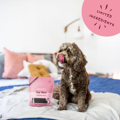 Say Moo Beef & Cheddar Training Bites Dog Treats, 6-oz bag