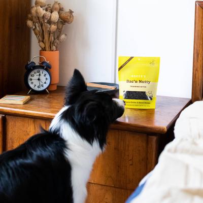 Bac'n Nutty PB & Bacon Training Bites Dog Treats, 6-oz bag