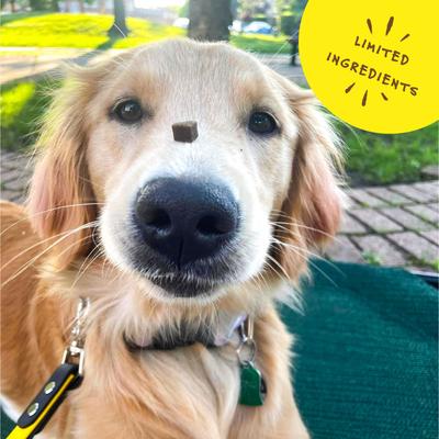 Bac'n Nutty PB & Bacon Training Bites Dog Treats, 6-oz bag