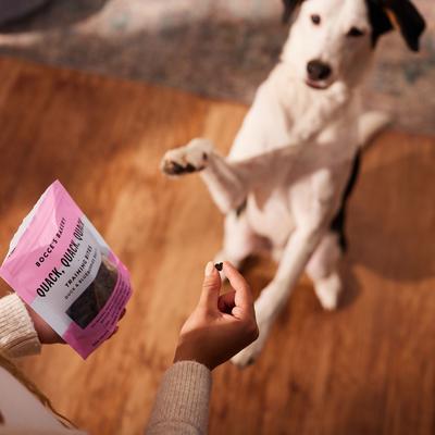 Quack Quack Quack Duck & Blueberry Recipe Training Bites Dog Treats, 6-oz bag