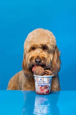 Carob Flavor Ice Cream Mix Dog Treat, 5.25-oz cup