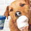 Vanilla Flavor Ice Cream Mix Dog Treat, 5.25-oz cup