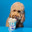 Vanilla Flavor Ice Cream Mix Dog Treat, 5.25-oz cup