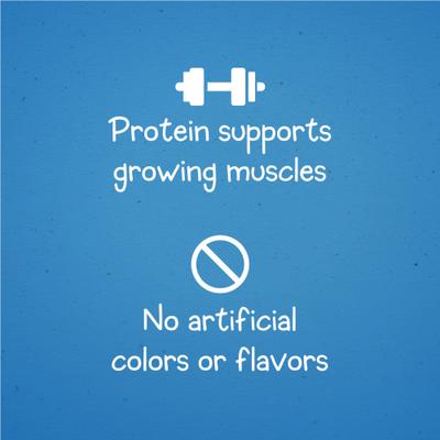 Healthy Start Salmon Flavor Training Dog Treats, 24-oz pouch