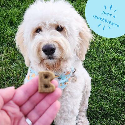 Daily Support Hip Aid Peanut Butter Recipe Dog Treat, 12-oz box