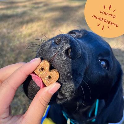 Soft & Chewy Cheese Recipe Dog Treats, 6-oz bag