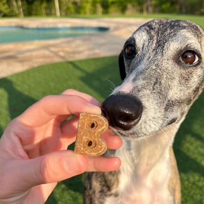 Soft & Chewy Chicken Recipe Dog Treats, 6-oz bag