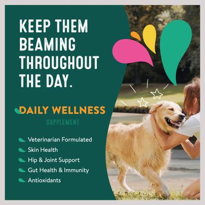 Daily Wellness Standard Breed Dog Supplement, 60 Scoops