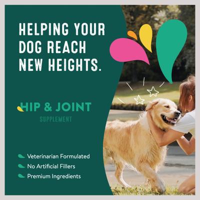 Hip & Joint Mini Breed Dog Supplement, 21 Scoops
