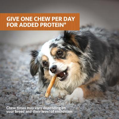 Collagen Retriever Sticks Chicken Flavored Dog Treat, 25 count