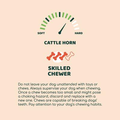 Premium Cattle Horn Dog Chew, Medium
