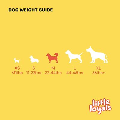 Premium Cattle Horn Dog Chew, Medium