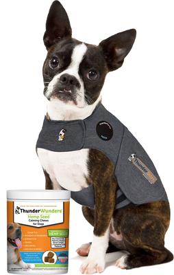 Bundle: ThunderShirt Classic Anxiety & Calming Vest, Heather Grey, XX-Small + ThunderWunders Hemp Dog Chews