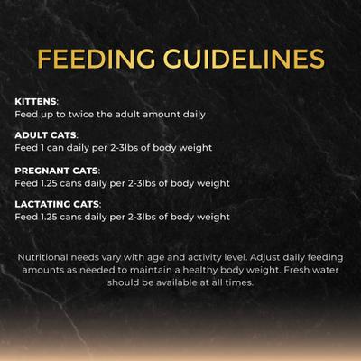 Tuna with Small Anchovies in Gravy Wet Cat Food, 2.82-oz can, case of 24