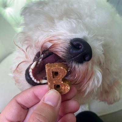 Soft & Chewy Duck Recipe Dog Treats, 6-oz bag