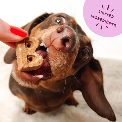 Soft & Chewy Duck Recipe Dog Treats, 6-oz bag