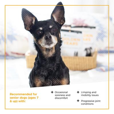 Golden Years Chicken Flavor Strength & Stability Joint Support Chew Supplement for Senior Dogs, 60 count