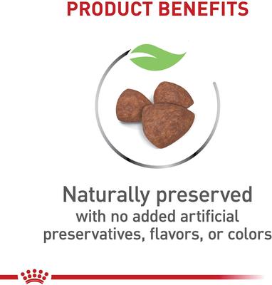 Size Health Nutrition Small Indoor Puppy Dry Dog Food, 2.5-lb bag