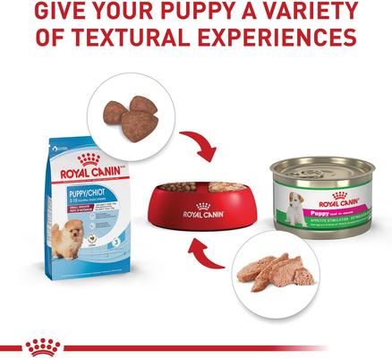 Size Health Nutrition Small Indoor Puppy Dry Dog Food, 2.5-lb bag