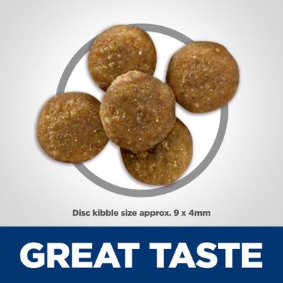 Adult Perfect Digestion Salmon Dry Cat Food, 13-lb bag