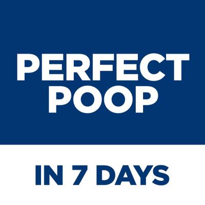 Senior Adult 7+ Perfect Digestion Chicken Dry Cat Food, 3.5-lb bag