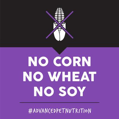 Puppy Chicken Meal & Rice Flavored Dry Dog Food, 40-lb bag