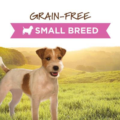 Original Small Breed Grain-Free Real Beef Recipe Wet Dog Food, 5.5-oz can, case of 12