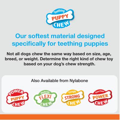 Bundle: Nylabone Nubz Turkey & Sweet Potato Chew Treat, 8 count + Puppy Chew Teething Pacifier Dog Toy, Small