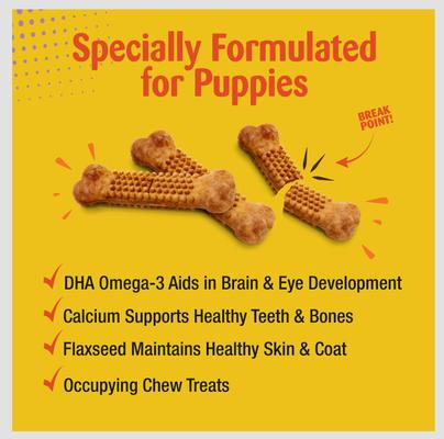 Bundle: Nylabone Nubz Turkey & Sweet Potato Chew Treat, 8 count + Puppy Chew Teething Pacifier Dog Toy, Small