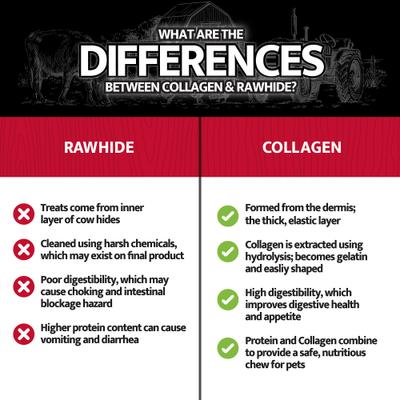 Collagen Retriever Sticks Beef Flavored Dog Treat, 15 count