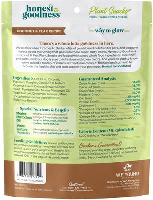 Plant Snacks Way to Glow Coconut & Flax Dog Treats, 8-oz bag