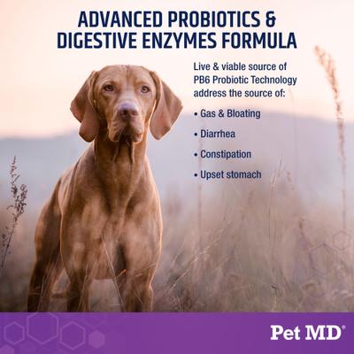 PB6 Probiotics & Enzymes Dog Supplement, 60 count