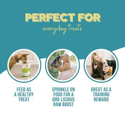 Just Beef Flavor Freeze-Dried Dog Treats, 3-oz bag