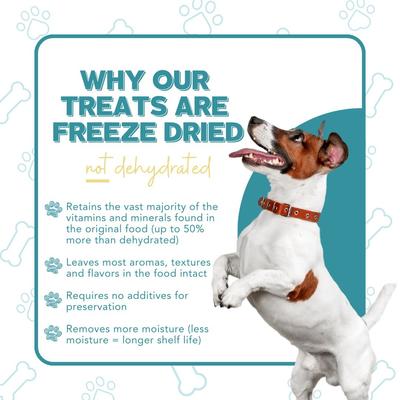 Superfood Snacks Apple & Cinnamon Flavor Grain-Free Freeze-Dried Dog Treats, 3.5-oz bag