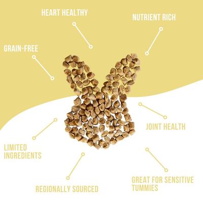 Superfood Snacks Apple & Cinnamon Flavor Grain-Free Freeze-Dried Dog Treats, 3.5-oz bag