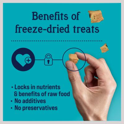 Bundle: Stewart Wild Salmon, 9.5-oz tub + Wild Salmon Freeze-Dried Dog Treats, 2.75-oz pouch