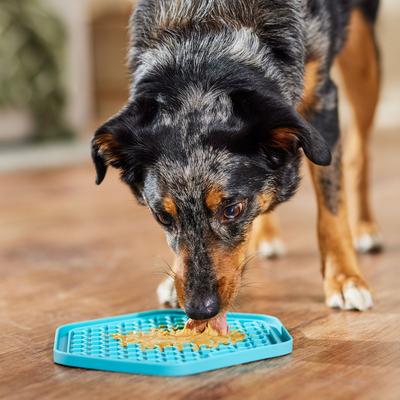 Buddy Budder Pumpkin & Cinnamon Peanut Butter Lickable Dog Treats, 17-oz jar