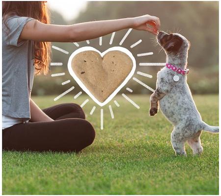 Original Recipe Chicken Meal & Oats Crunchy Biscuit Dog Treats, 16-oz box