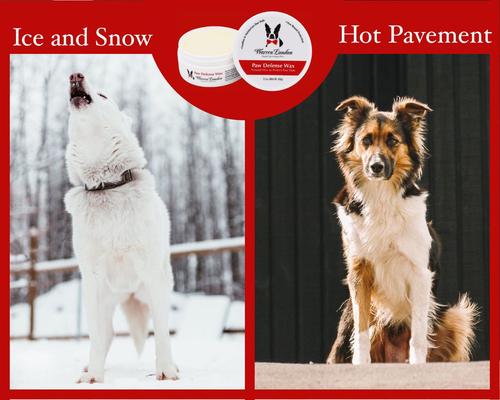 Dog Paw Defense Wax, 2.1-fl oz jar