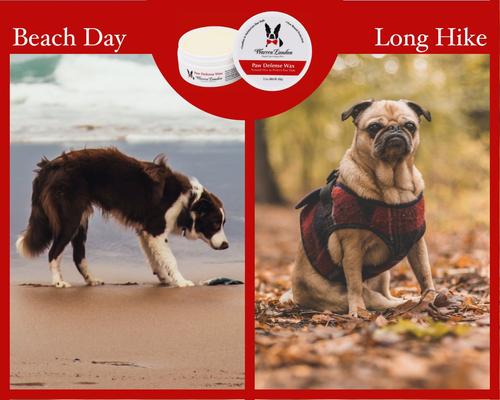 Dog Paw Defense Wax, 2.1-fl oz jar