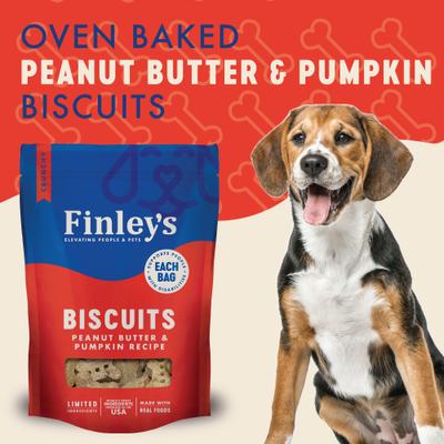 Wheat-Free Peanut Butter & Pumpkin Crunchy Biscuit Dog Treats, 12-oz bag