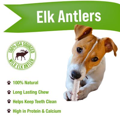 Split Elk Antler Dog Chews, 4-in