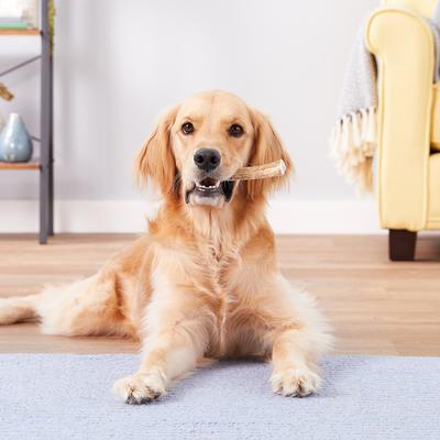 Split Elk Antler Dog Chews, 4-in